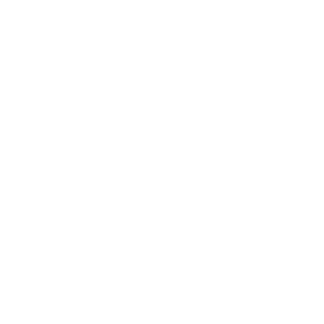 The Expansion Institute